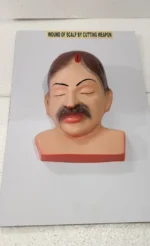 Forensic model Parted scalp hair